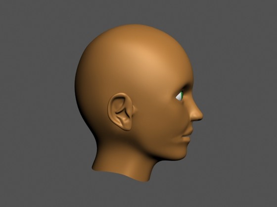 3D Graphics: 3d max 9