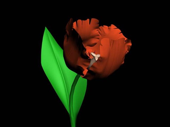 3D Graphics: 3d max 9