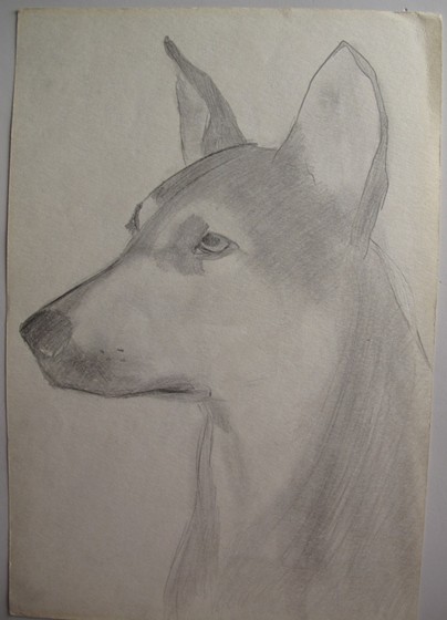 2D - pen&watercolour: teenage